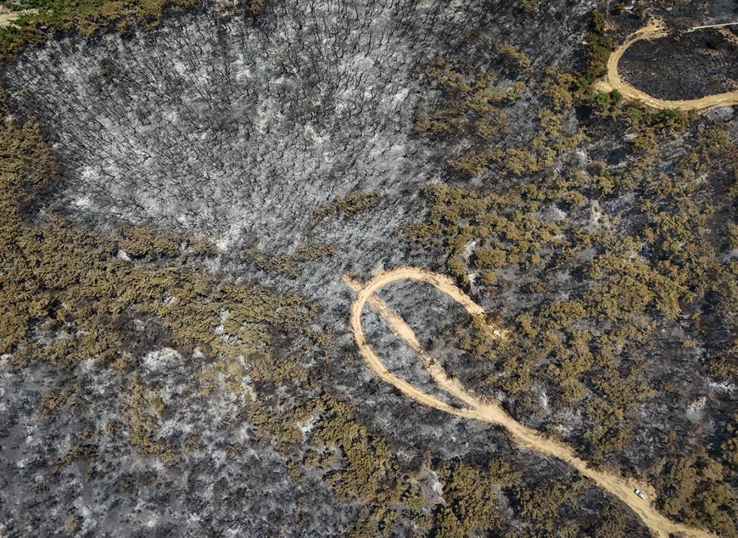 Kahreden manzara! Bornova'da yanan ormanlar dronla görüntülendi 22